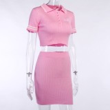 Pink Knit Crop Top and Mini Skirt Set