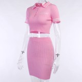 Pink Knit Crop Top and Mini Skirt Set