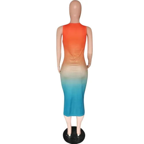 Ombre Sleeveless Long Dress