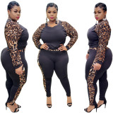 Plus Size Leopard Patchwork Two Piece Pants Set