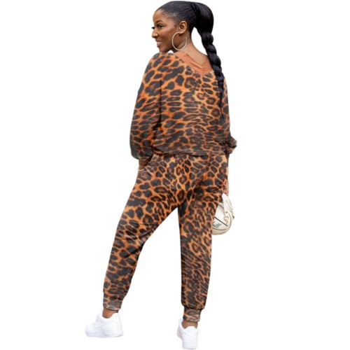 Brown Leopard Long Sleeve Casual Top & Pants