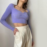 Purple Knitted Crop Top with Full Sleeve