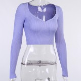 Purple Knitted Crop Top with Full Sleeve