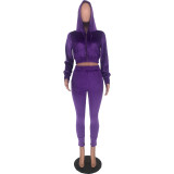Purple Velvet Long Sleeve Sweatsuits