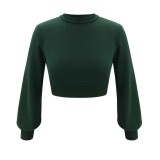 New Knitted Plain Crop Top with Pop Sleeves