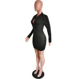 Black Long Sleeve Zipper Bodycon Dress