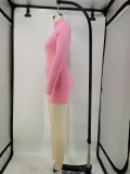 Sexy Plain Long Sleeve Zipper Bodycon Dress
