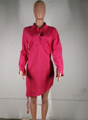 Plain Turn Down Collar Long Sleeve Drawstring Shirt Dress