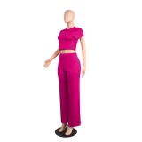 Hot Pink Short Sleeve Crop Top & Wide Leg Pants Set