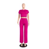 Hot Pink Short Sleeve Crop Top & Wide Leg Pants Set