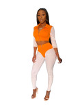 Orange & White Full Sleeve Crop Top and Pants Set