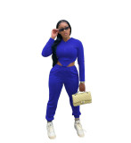 Blue Casual Zipper Matching Hoodie and Pants
