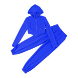 Blue Casual Zipper Matching Hoodie and Pants