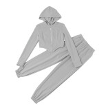 Gray Casual Zipper Matching Hoodie and Pants