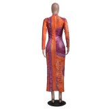 Colorful Dollar Print See Through Bodycon Maxi Dress
