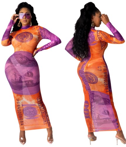 Colorful Dollar Print See Through Bodycon Maxi Dress