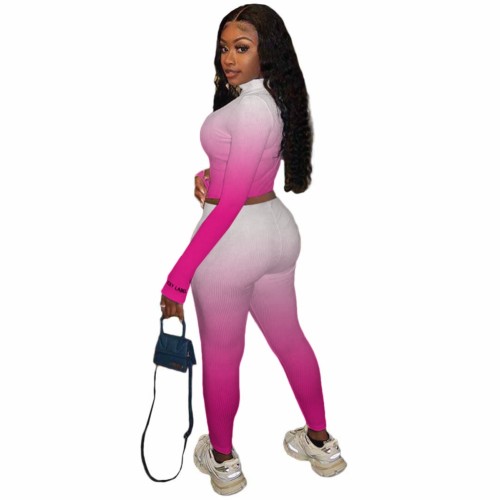 Gradient High Neck Zip Up Crop Top and Pants Set