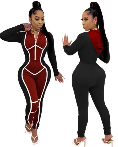 Contrast Zipper Hooded Tight Crop Top and Pants Set