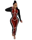 Contrast Zipper Hooded Tight Crop Top and Pants Set