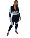 Fitness Contrast Zipper Crop Top and Pants Set