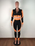 Fitness Contrast Zipper Crop Top and Pants Set