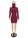 Plain Color Long Sleeve Mini Dress with Built-in Mask