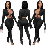 Solid Sexy Crop Top and Slit Bottom Pants Set