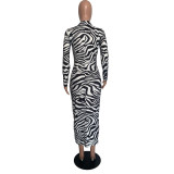 Black & White Zebra Print Mock Neck Bodycon Midi Dress