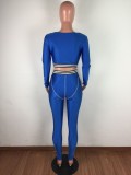 Contrast Bodycon Crop Top and High Waist Pants Two Piece Set