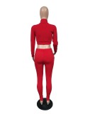 Fashion Pure Solid Fitted Zipper Crop Top and Pants Set