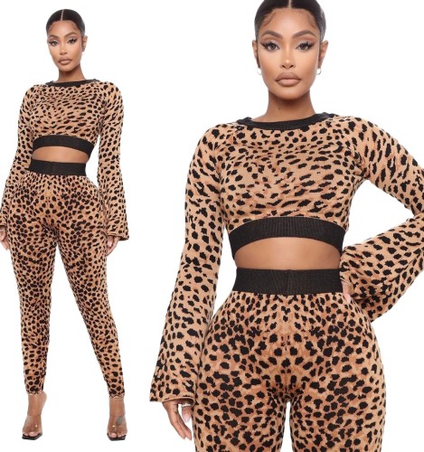 Leopard Crop Top and Pants Two Piece Outfits