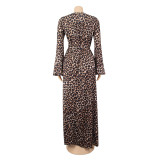 Leopard Print V Neck Slit Maxi Dress