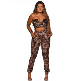 Leopard Strapless Crop Top and Pants Two Piece Outfits