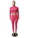 Fashion Pure Solid Fitted Zipper Crop Top and Pants Set