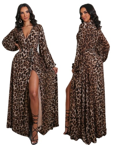 Leopard Print V Neck Slit Maxi Dress