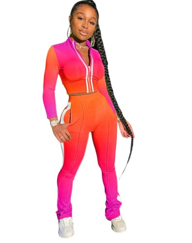 Sexy Fitted Gradient Zip Up Crop Top and Pants Set