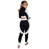 Fitness Tight Contrast Two Piece Pants Set