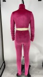 Sexy Pure Color Velvet Crop Top and High Waist Pants Set