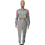 Contrast Panel Crop Top and Pants Hooded Sweat Suits