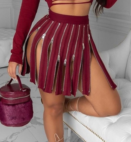 Stylish High Waist Zippers Short Skirt