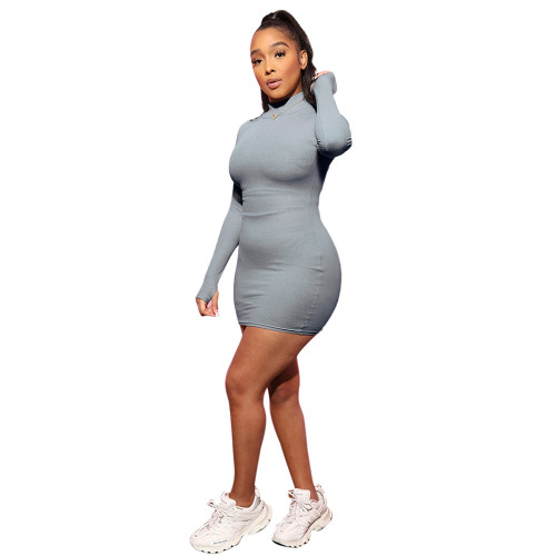 Plain Color High Neck Fitted Mini Dress