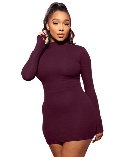Plain Color High Neck Fitted Mini Dress