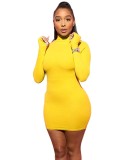 Plain Color High Neck Fitted Mini Dress