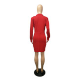 Solid Tie Front Long Sleeve Deep-V Dress