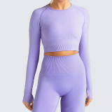 Sports Workout Crop Top and Legging Yoga Suits