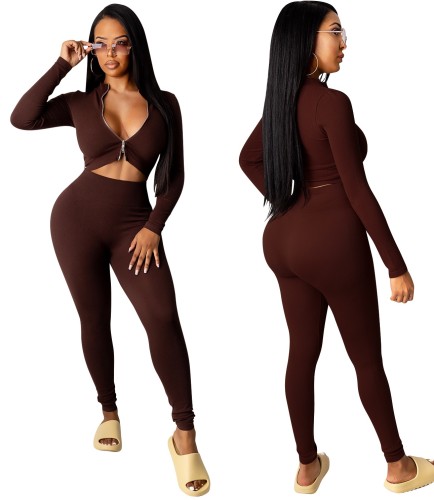 Fitted Zip Up Crop Top and Pants Two Piece Set