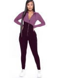 Two Tone Sporty Zipper Tracksuit