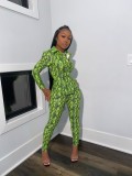 Winter Snakeskin Print Sexy Blouse and Pants Set