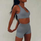 Yoga Workout Bra Top and High Waist Shorts Set