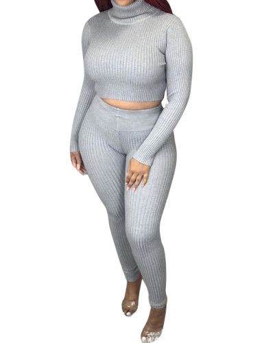 Long Sleeve High Neck Fitted Crop Top and Pants Set